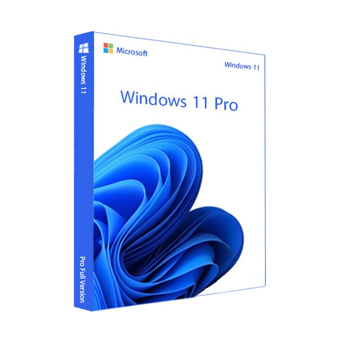 ویندوز 11 پرو (Pro)